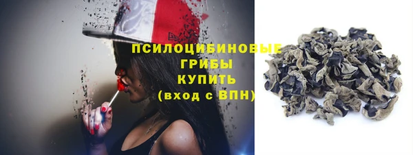 экстази Няндома