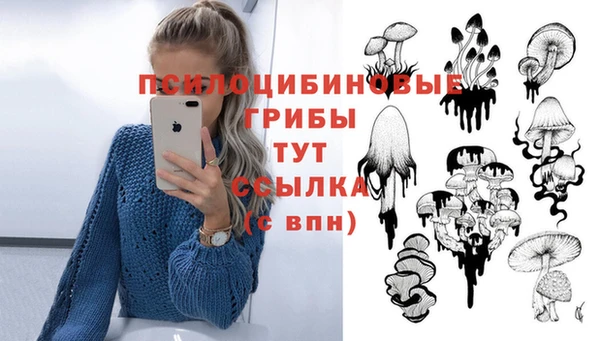 ALPHA-PVP Остров
