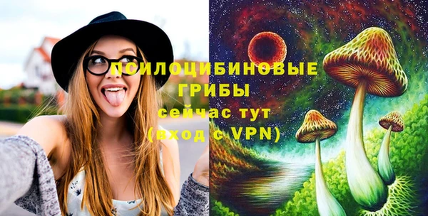 гидропоника Нязепетровск
