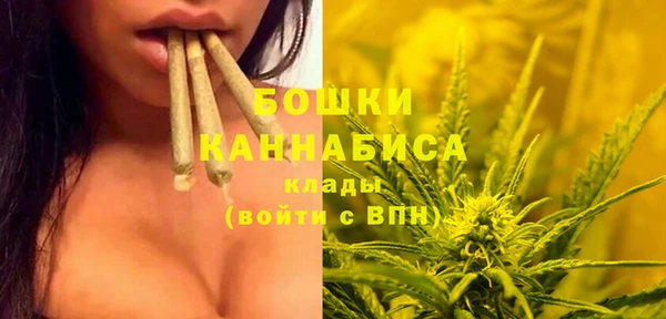 гидропоника Нязепетровск