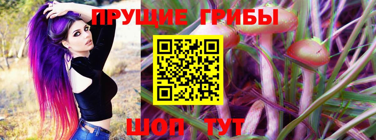 Галлюциногенные грибы GOLDEN TEACHER  Железногорск  Псилоцибиновые грибы GOLDEN TEACHER 