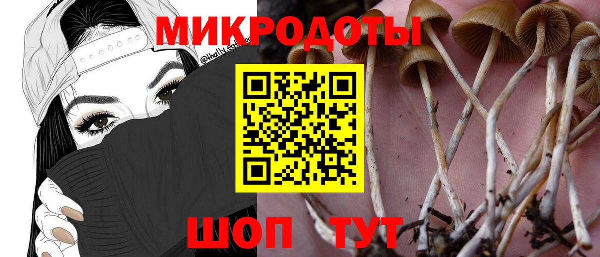 Галлюциногенные грибы Psilocybine cubensis  Вход с VPN  продажа наркотиков  Железногорск 